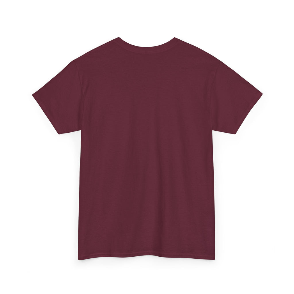 “Current Attitude” - Funny Pilot T-Shirt