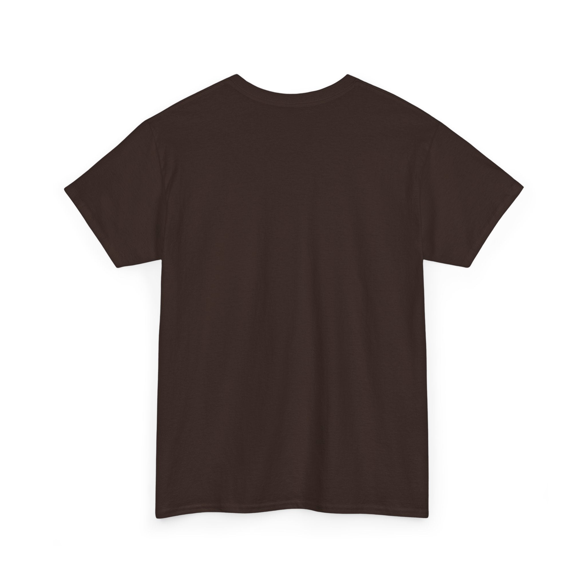 “Current Attitude” - Funny Pilot T-Shirt