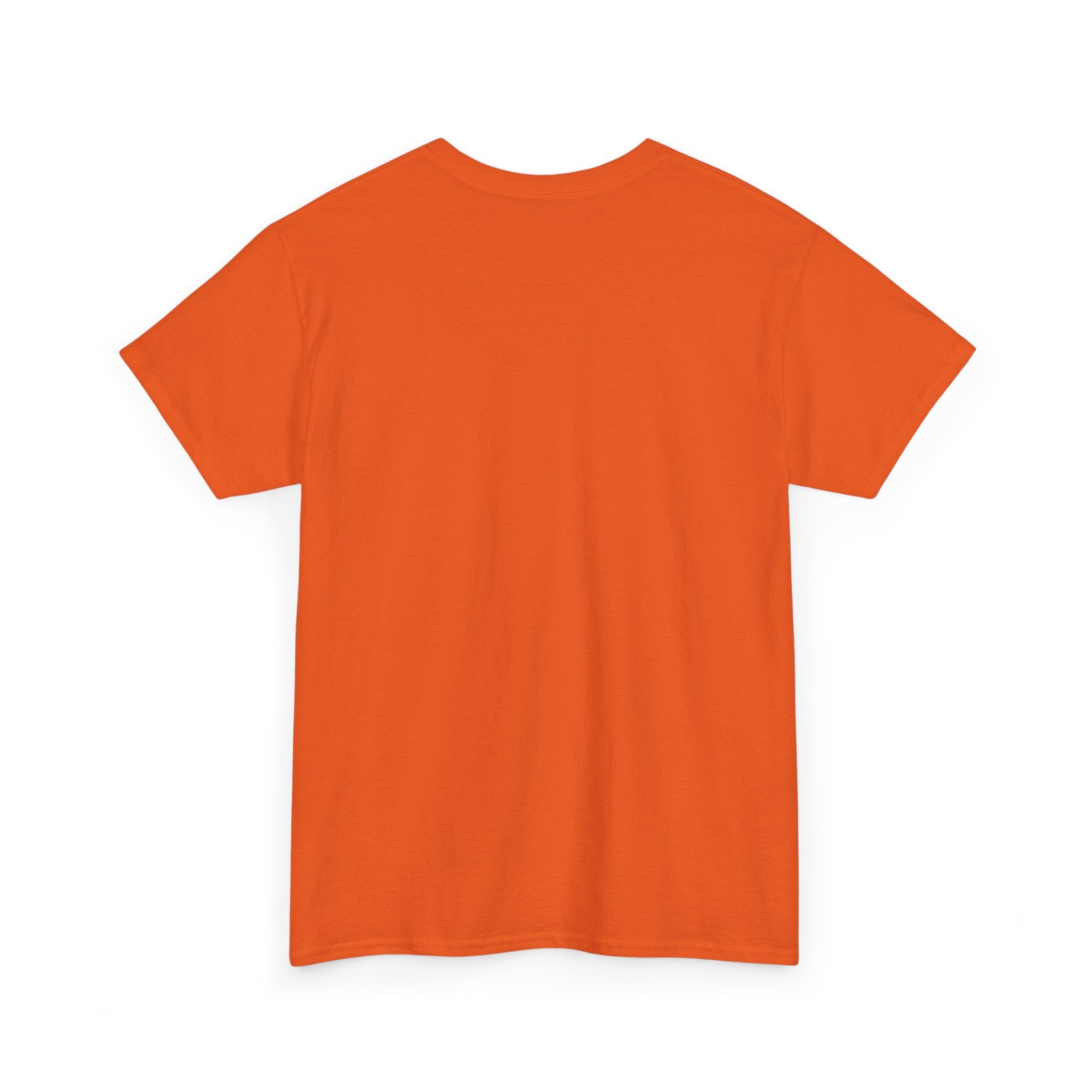 “Current Attitude” - Funny Pilot T-Shirt