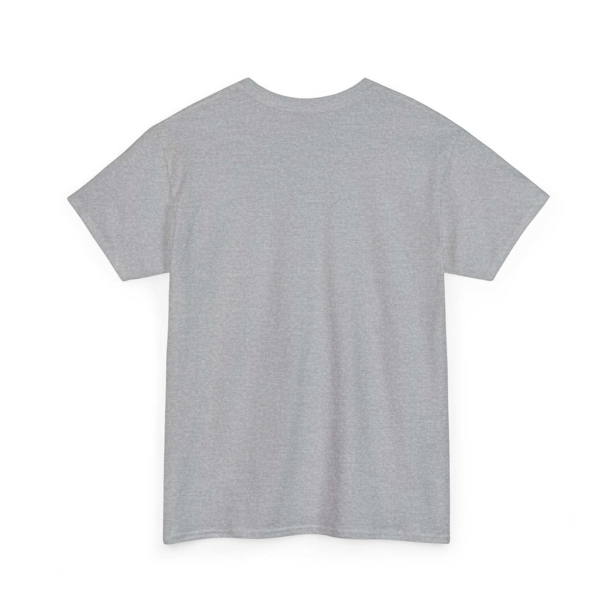 “Current Attitude” - Funny Pilot T-Shirt