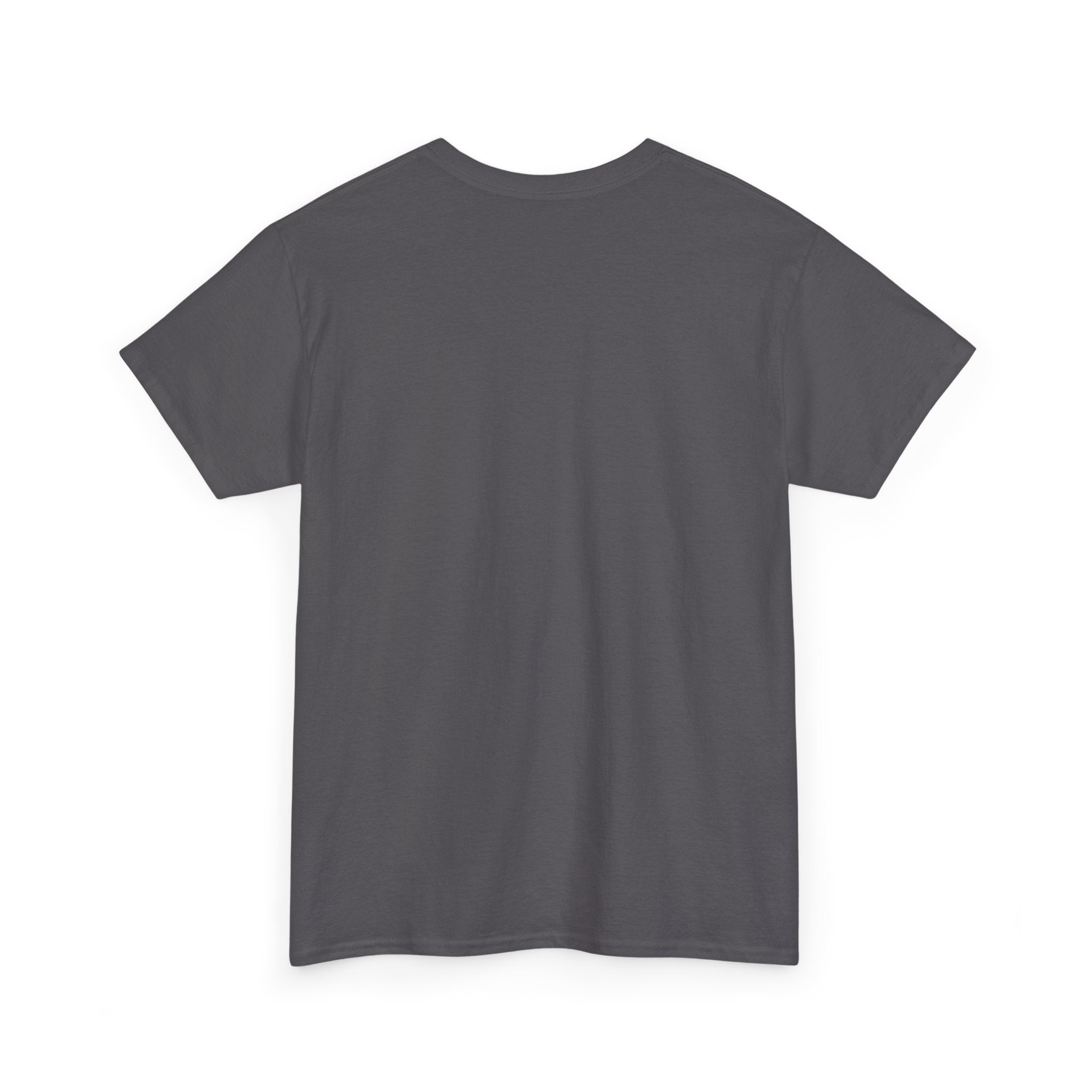 “Current Attitude” - Funny Pilot T-Shirt