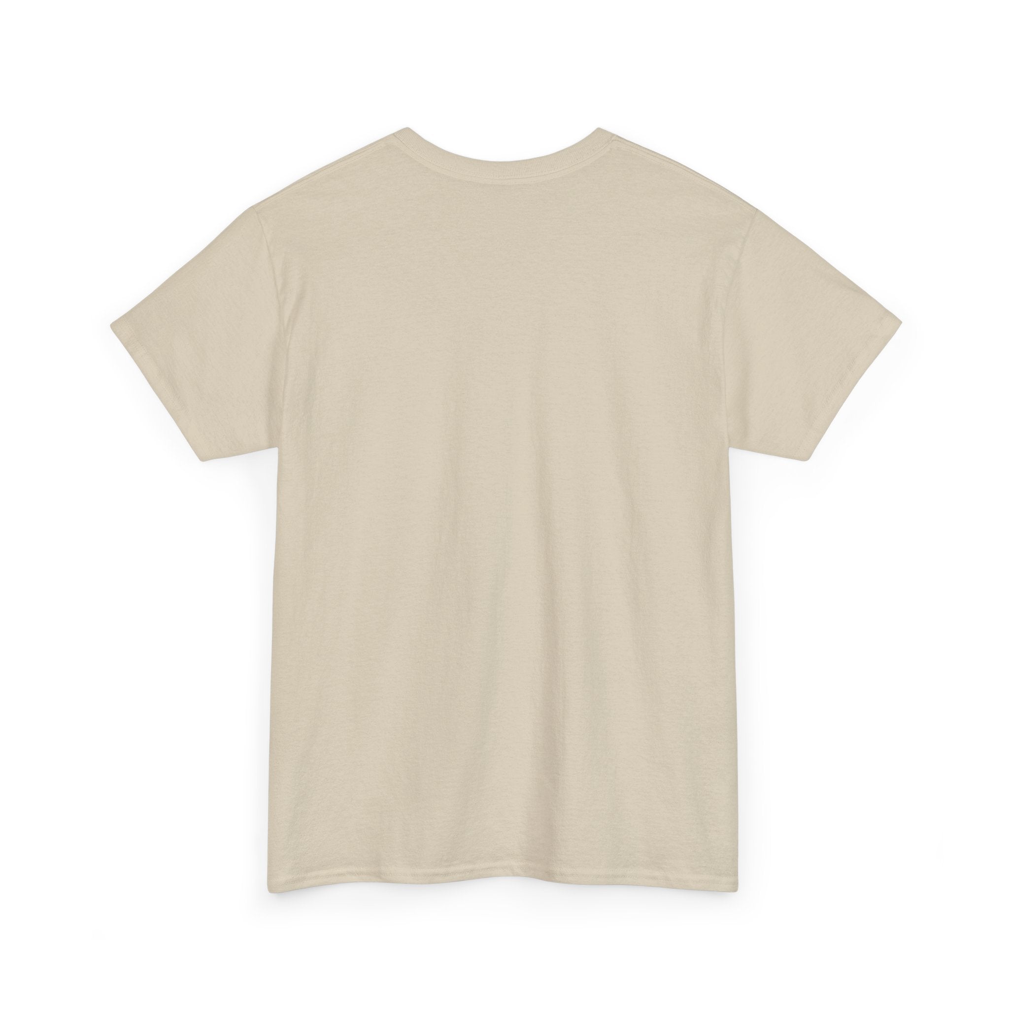 “Current Attitude” - Funny Pilot T-Shirt
