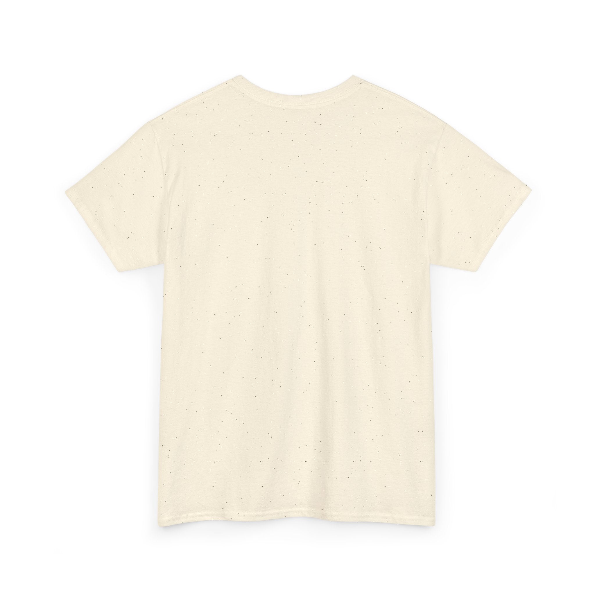 “Current Attitude” - Funny Pilot T-Shirt