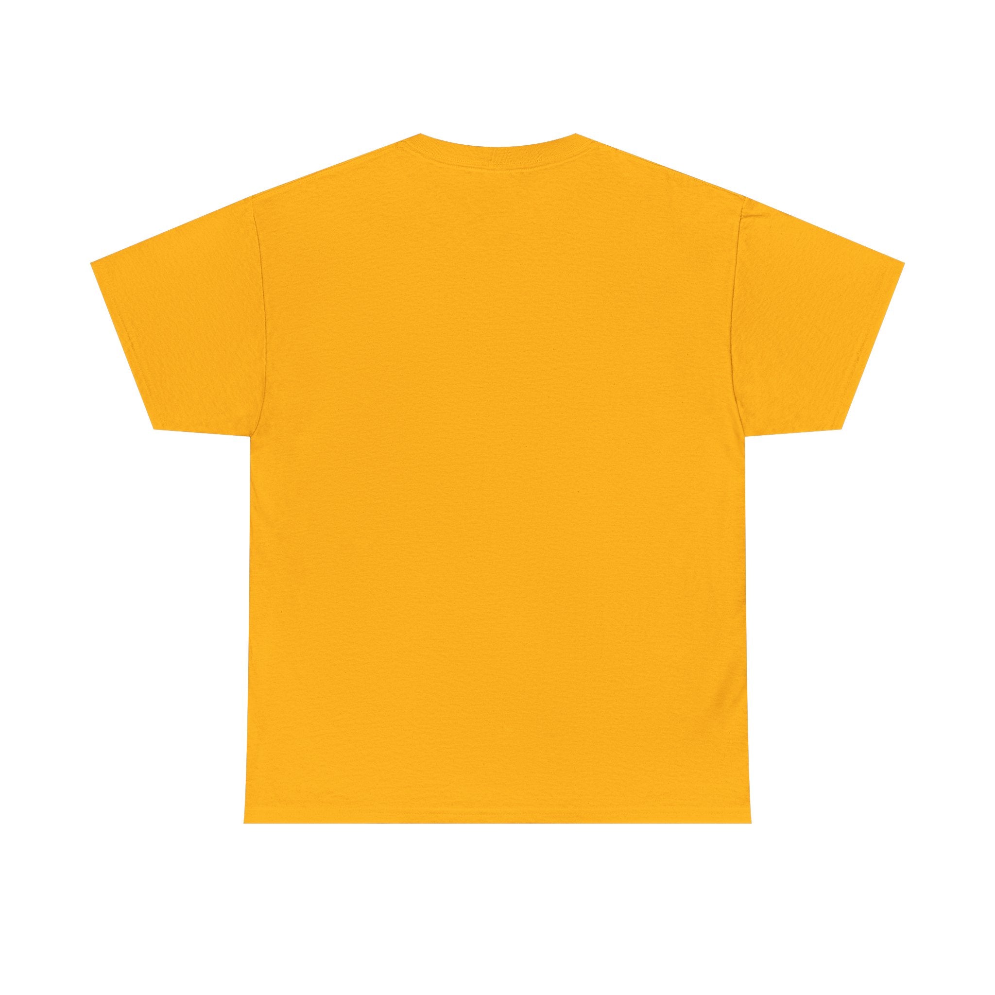 “Current Attitude” - Funny Pilot T-Shirt