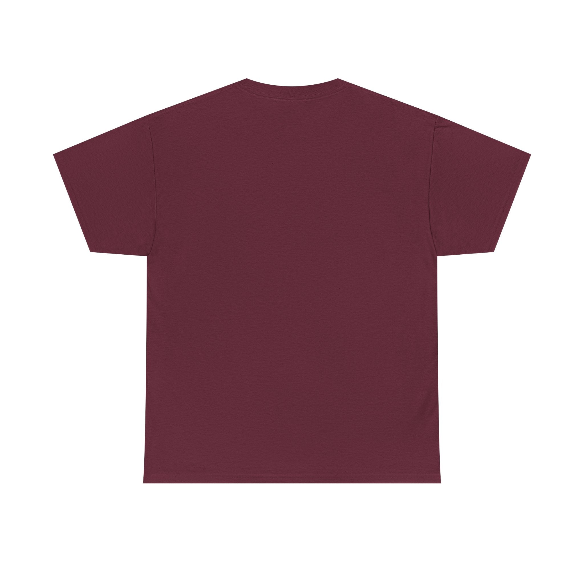 “Current Attitude” - Funny Pilot T-Shirt