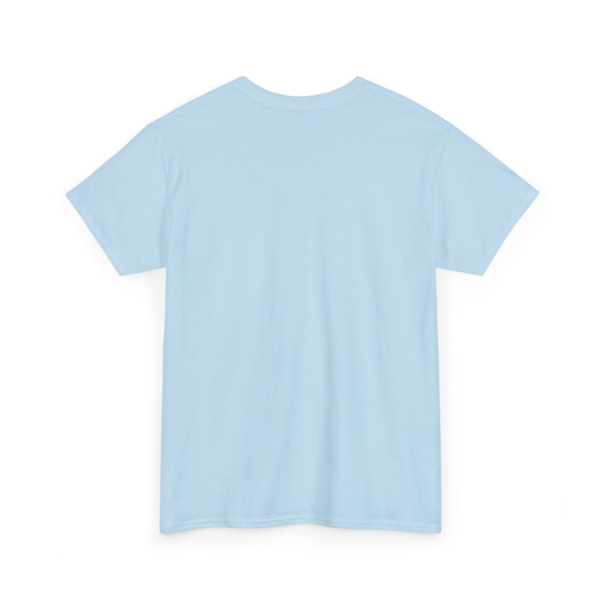 “Current Attitude” - Funny Pilot T-Shirt
