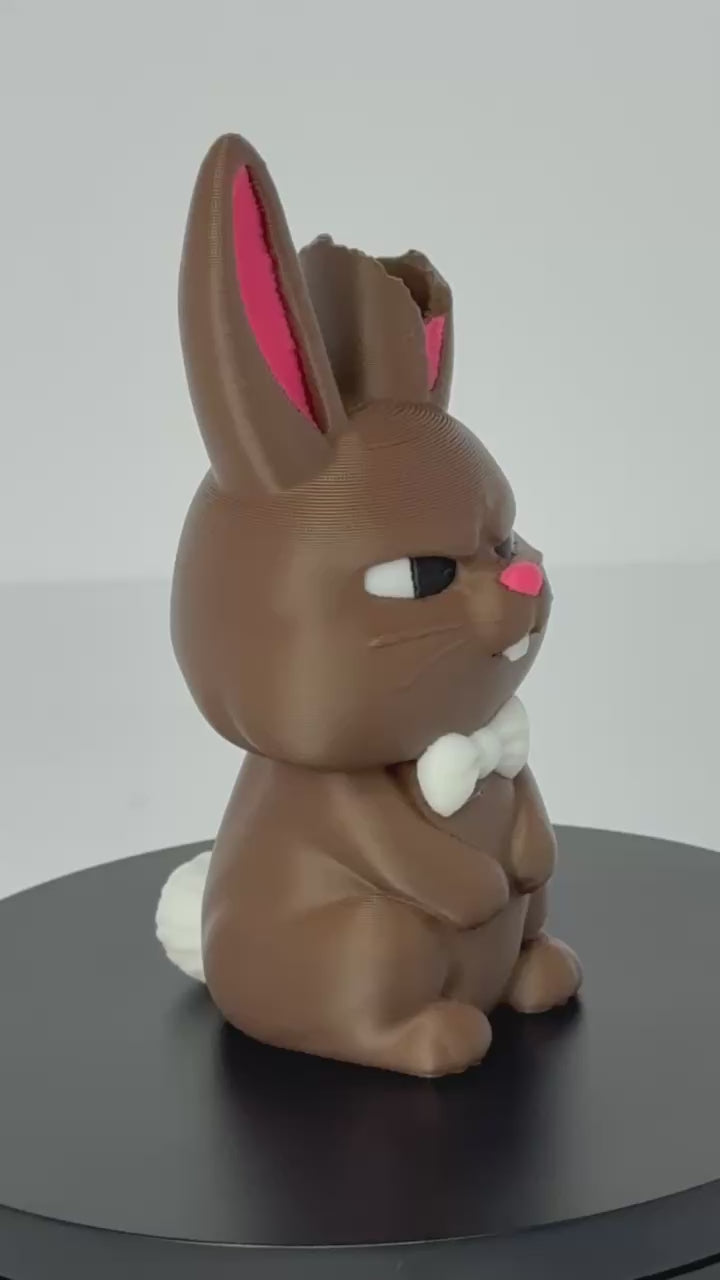 WTF! Bunny Pencil Holder Rotating Video